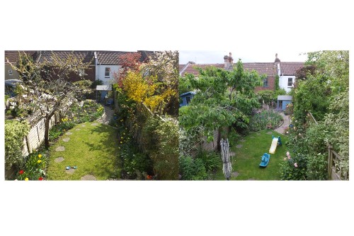 garden image credit nick tew